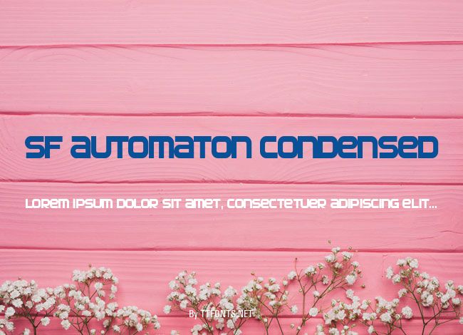SF Automaton Condensed example